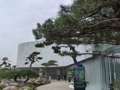 -罗红摄影艺术馆