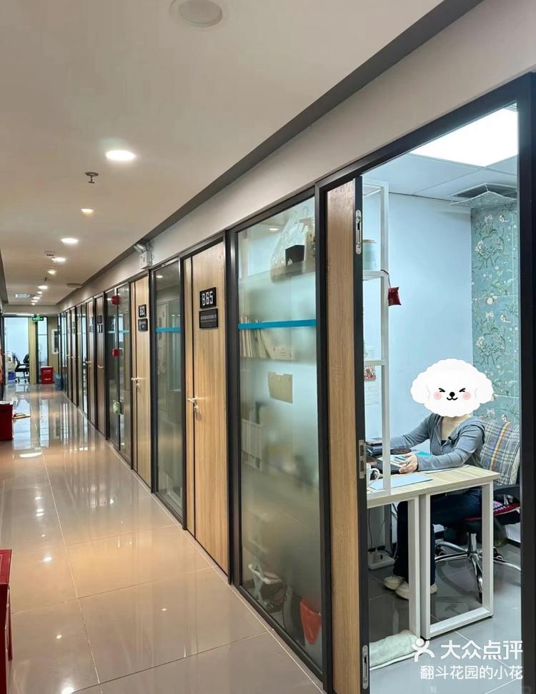 00后适合开什么公司(00后创业适合开什么店)