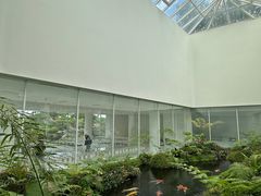 -罗红摄影艺术馆