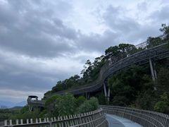 -福道