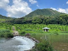 -广州市石门国家森林公园