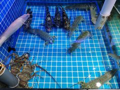-吉友粥底火锅(方斜路店)