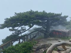 -罗田薄刀峰风景区
