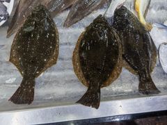 -威海九禧海鲜居渔水饺(经区店)