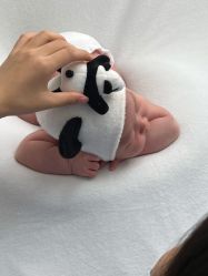 -西瓜庄园儿童摄影