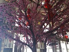 -金轩中餐厅 Jin Xuan(浦东丽思卡尔顿酒店)