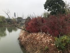 -梁鸿国家湿地公园