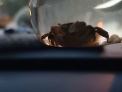 -石槽海滨浴场