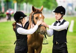 点击看大图 -韩慕婚纱摄影(九亭店)