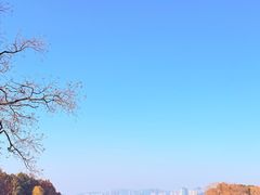 -长广溪湿地公园