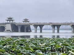 -武汉动物园
