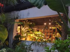 -自由生长植物工作室(深港花卉中心店)