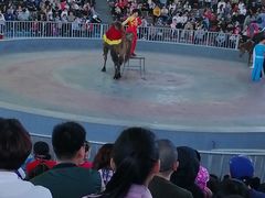 -石家庄市动物园