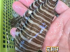 -蛇口市场