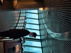 -澳门旅游塔360°旋转餐厅(南湾湖广场店)