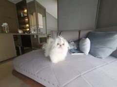 -北京三里屯CHAO酒店