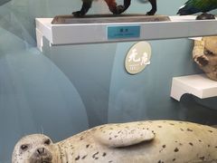 -国家自然博物馆