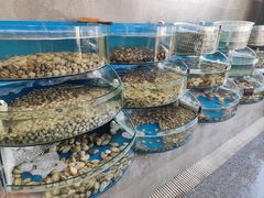 水产区-蓝珊甄选海鲜自助·火锅大排档(近阿那亚店)
