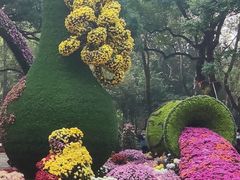 -杭州植物园