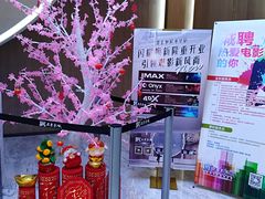 -SFC上影影城(港汇永华IMAX激光店)