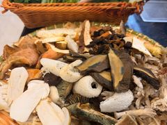 野生菌拼盘-草墩罗非鱼庄•野生菌•腊排骨(七星街上段店)