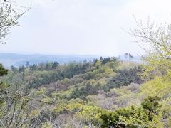 -关门山森林公园