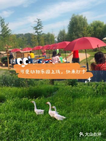 这可爱动物乐园上线，快来打卡