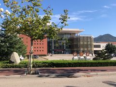 -山东外贸职业学院