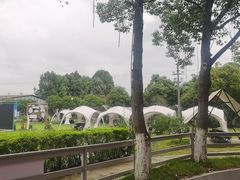 -洪湖家庭农场·团建·露营·会议