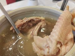 五指毛桃-荔枝楼酒家(员村东璟店)