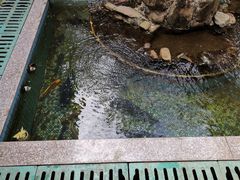 -水库河鲜村