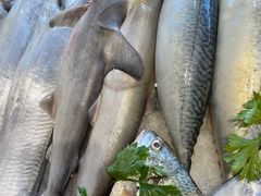 -天天渔港海鲜酒家(石浦玉泉路店)