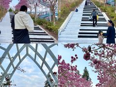-盈香心动乐园