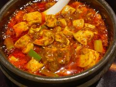 -陈麻婆豆腐总店