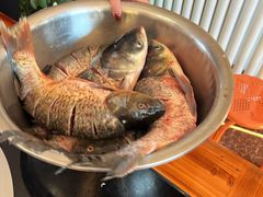 -北京龙庆四季香农家饭庄·灶台鱼·碳烤虹鳟鱼(龙庆峡店)