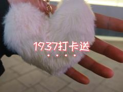 -1937青岛老味道·海肠捞饭·青岛菜(大鲍岛栈桥店)