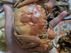 -七的湖·晚芳亭·阳澄湖农家菜·大闸蟹(莲花岛店)