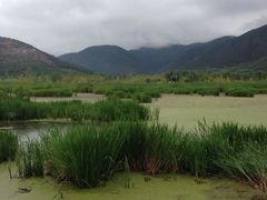 -泸沽湖国家级风景名胜区走婚桥