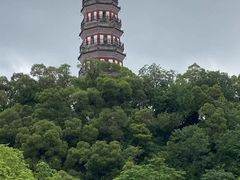 -顺峰山公园