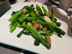 -新兴·金羊座·粤菜点心(乐峰店)