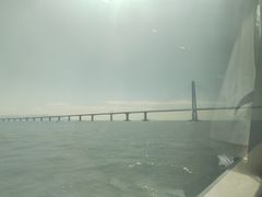 -港珠澳大桥码头