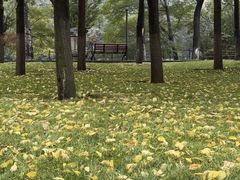 -莲湖公园