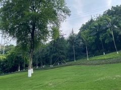 -龙头寺公园