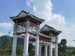 -王借岗森林公园