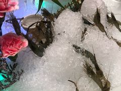-骏莱海鲜鱼港(五角场店)