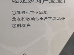 -北京周口店北京人遗址博物馆