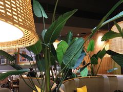 -太泰(万象城店)