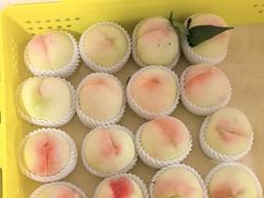 -老袁家蜜桃农场·阳山水蜜桃