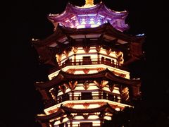 -洋湖国家湿地公园