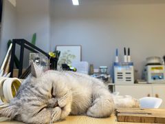 -Oasis绿洲银饰珍珠手作diy(壹方城店)